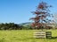 206 Okaeria Road, Waerenga - Carousel 6