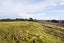 17 Chatfield Lane, AOKAUTERE - Carousel 13