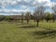 310C Porangahau Road, Waipukurau, Waipukurau - Carousel 6
