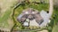 99 Ireland Road, Otane - Carousel 24