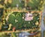 10 Faith Place, Christchurch - Carousel 41