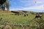 661 Waihola Highway, Milburn - Carousel 5
