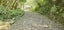 460 Moetapu Bay Road, Moetapu Bay, Picton - Carousel 47