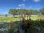 12 Te Waiariki Way, Tamaterau, Whangārei - Carousel 2
