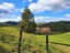 1344 State Highway 12, Oue, Kaikohe - Carousel 16