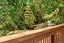 1/333 Triangle Road, Massey, Auckland - Carousel 4