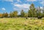 149 Loburn Whiterock Road, Loburn, Rangiora - Carousel 20