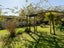 236 Fraser Street, Tauranga South, Tauranga - Carousel 18