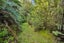 40 Waiparera Road, Onerahi - Carousel 8
