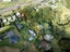 1058 Paerata Road, Paerata, Franklin, Auckland - Carousel 17