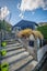 8 DAYS ROAD, Lyttelton, Christchurch - Carousel 3