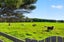 259 Mairetahi Road, South Head, Helensville - Carousel 5