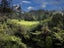 635 Swanson Road, Swanson, Auckland - Carousel 21