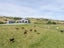 67A Lees Pakaraka Road, Te Ore Ore, Masterton - Carousel 26