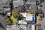 3 Holgate Avenue, Herald Island, Auckland - Carousel 24
