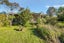 11 Harbour View Road, Warkworth - Carousel 26