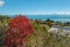 17 Jackson Street, Marybank, Nelson - Carousel 9