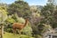 6/199 Birdwood Road, Massey, Auckland - Carousel 32