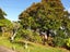 1/723 Beach Road, Browns Bay, Auckland - Carousel 16