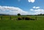 9 Mansfield Road, Owhata, Rotorua - Carousel 28