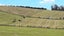 105 Willis Road, Ngahinapouri, Hamilton - Carousel 32