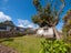 38B Tarawera Road, Johnsonville, Wellington - Carousel 3