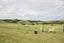 614 Falls Road, Waerenga - Carousel 32