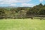 34 Tawa Avenue, Kaiwaka - Carousel 15