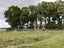18 JG Wilson Drive, Waipukurau, Waipukurau - Carousel 14
