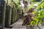 36 Gills Road, Bucklands Beach, Auckland - Carousel 25