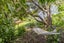 145 Campbell Street, Karori, Wellington - Carousel 3