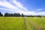 7041 Makotuku Valley Rd (State Highway, 4), TOHUNGA JUNCTION - Carousel 33