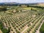 0 , Martinborough - Carousel 20