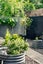 5 Harmony Lane, Woolston, Christchurch - Carousel 25