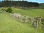 4 Van Der Velden Way, Horokiwi, Wellington - Carousel 5