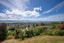 41 View Mount, Stoke, Nelson - Carousel 21