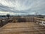 99 Pembroke Street, Hamilton Lake, Hamilton - Carousel 3