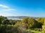 21 Harcourt Street, Belleknowes, Dunedin - Carousel 22
