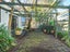 38 Young Street, Whanganui East, Whanganui - Carousel 8