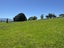 0 Pokuru Road, Pokuru, Te Awamutu - Carousel 7
