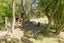15 Factory Road, Little Akaloa, Little Akaloa - Carousel 25