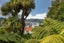44 City Road, Roslyn, Dunedin - Carousel 19
