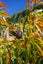 0 Kiwi Street, Makaraka, Gisborne - Carousel 5