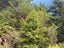 0 Virgin Flat Road, Virgin Flat, Cape Foulwind - Carousel 5