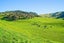 0 Lake Road, Raglan, Taupiri - Carousel 13