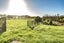 174 Blueskin Road, Brunswick, Whanganui - Carousel 32