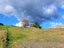 1344 State Highway 12, Oue, Kaikohe - Carousel 24