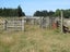101 Wards Road, Chertsey, Ashburton - Carousel 26