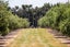 0 , Martinborough - Carousel 19