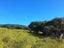 0 Pokas Road, Waimamaku, Kaikohe - Carousel 12